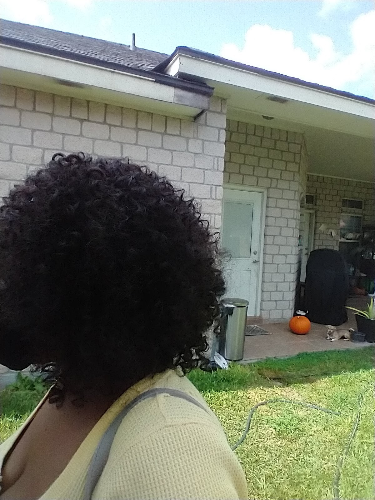 Black curly sewn-in hairstyle